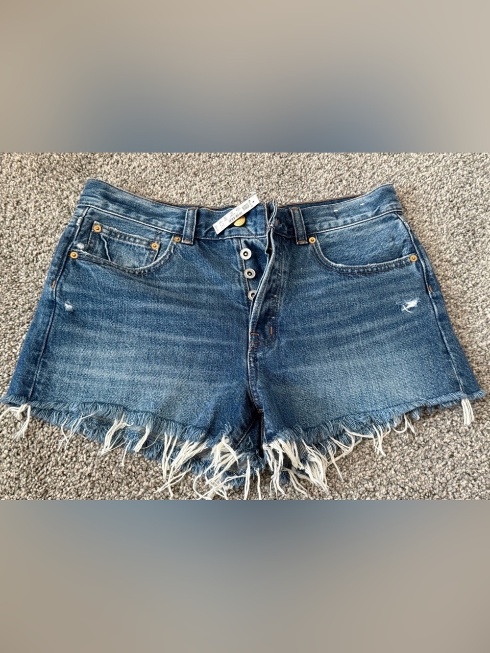 Madewell The Brynn Short Women's Blue Denim Cut Off High Rise Shorts 27
